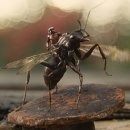 백곰싱크 | 앤트맨후기 결말 의미 어밴져스 합류하나봐요