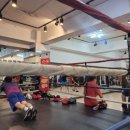 산본미래권투 이미지