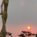 어람회집 | 대천해수욕장 현지인도 찾는 맛집 여수어람 횟집 후기