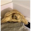 이박사동물병원 | 용식일기1