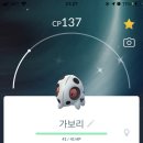 가보리 이미지