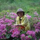 순금농장 이미지