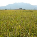 하송농장 이미지