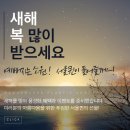 서울퀸성형외과