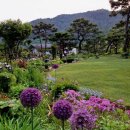 꽃무리 뜸 | 남양주 독채펜션, 축령산 독채펜션 '꽃무리뜸'