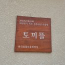 장성목장 | 장성 단풍구경 백양사 근처 아이랑 카페 추천 토끼뜰