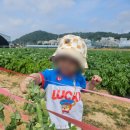 해맑은어린이집 이미지