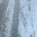 영미니네 이미지