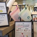 샘푸드 | [리뷰] 스타벅스 실리콘 푸드백 내돈내산 후기/ 4.8(수) 부터 소진 시 까지!!