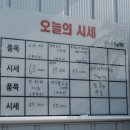 결성면 평산마을회관 | 부산 빵게 파는 곳 평산수산이 답이네!