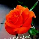조은아침