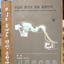 전남 완도 보길도 Daum카페