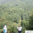 수풀림 시사매거진