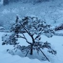 뜨레난농장 네이버블로그