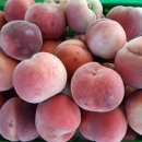 칠복농장 이미지