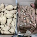 여차리농장 이미지