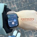 슈퍼스팟 | [코인 M2E] 슈퍼워크 x 플룸네트워크 이벤트 / 세종 고복자연공원 골드스팟 방문 후기!