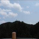장*태 - 안양시 만안구 박달로545번길 | 장*태