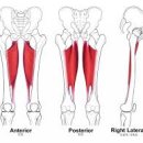 웰니스헬스 제이필라테스 요기요가 이미지