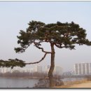 여기산공원 이미지