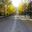 용문산관광지 야영장 이미지