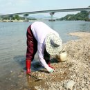 하동재첩 섬진강 이미지