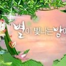 평창 별이빛나는밤에 이미지