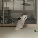 중앙로399번길 | 월간 떠덩 2026년 6월편