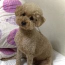 수암로R 이미지