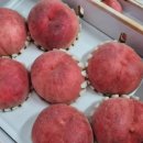 대홍농장 이미지