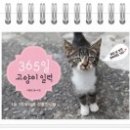 고양이집 이미지