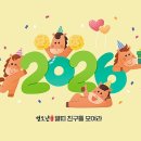 알고리즘학원 - 안양시 동안구 관악대로 329 | 알고리즘학원