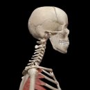 커스텀피트니스 사직점 이미지