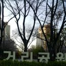 거리공원 이미지