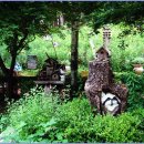 진부농장 이미지