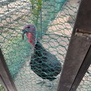 우유농장2 이미지