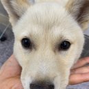 신흥로190 이미지