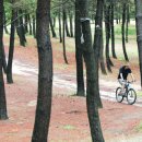 구례포 야영장 이미지