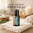 터치컴퓨터 | 부산 도테라 아로마터치, 향보다 기준이 중요했던 찐사용 후기