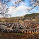 노성면사무소 | 명재고택(논산 윤증고택)