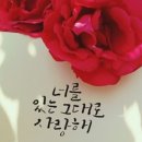 수사랑작은도서관 이미지