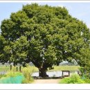 나루터로1-6 이미지