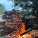 평화강변수목캠핑장 | 연천 평화강변 수목캠핑장 2박 3일 후기