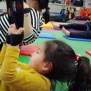 라파엘브릿지 이미지