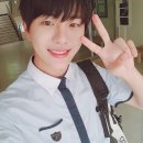 보민