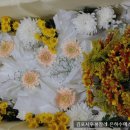상주인원적음
