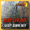 빌라 부러진 나무 자르기 업체