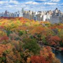 수원-0348 | 미국 여행 발권 완료 ! 시카고 in, 뉴욕 out 🤎 #나의세번째뉴욕 #미국여행준비 #ESTA발급 #대한항공...