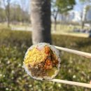 부산 부전시장 먹거리 추천 가성비맛집 명란김밥 /부산시민공원