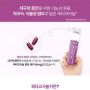 브이원 약국 이미지